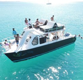 4hour Group Half Day Snorkeling Excursion in Grace Bay